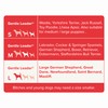Beaphar | Gentle Leader | Head Collar for Large Dogs