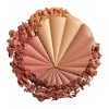 Rubor Milani Color Harmony Blush Palette 02 Bronze Burst