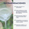 Hebbe - Coco Glucósido, Tensioactivo Suave y Biodegradable para Cosméticos,