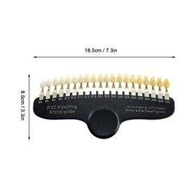 BIMU Teeth Model Teeth Shade Guide for Whitening Teeth, Color Swatches, Teeth Model 20 Colors, Storage Case Included