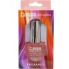 Prorance 프로랑스 플러스 네일 영양제 17ml 손톱영양제