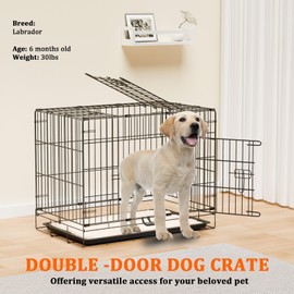 Dog Crate Double Door Dog Kennel Cage, Foldable Metal Wire Dog Cage with Removable Tray & Divider, Pet Crate for Medium Dogs (Black, 30" L x 18.5" W x 22.8" H)