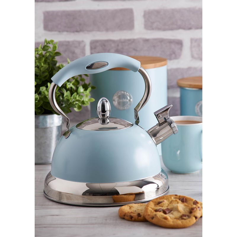 Typhoon Living Stovetop Whistling Kettle with Folding Handle, 2.5 Litre,