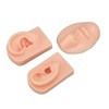 3D Nose and Mouth Model Silicone Ear Model Simulation Display