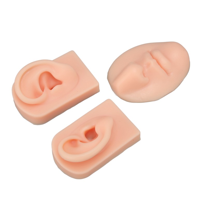 3D Nose and Mouth Model Silicone Ear Model Simulation Display