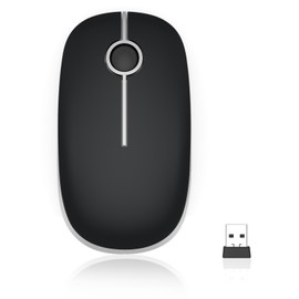 seenda Maus Kabellos, 2,4G Funkmaus mit 1600 DPI für PC/Laptop/MacBook/Linux, 3 Leise Tasten, Für Links- und Rechtshänder, 18 Monate Akkulaufzeit, Schwarz und Silber