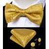 DiBanGu Gold Paisley Suspenders for Men Y-Shape Adjustable Suspenders Bowtie