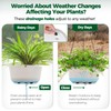 T4U 12 Inch Large Hanging Planters for Indoor Plants, 2