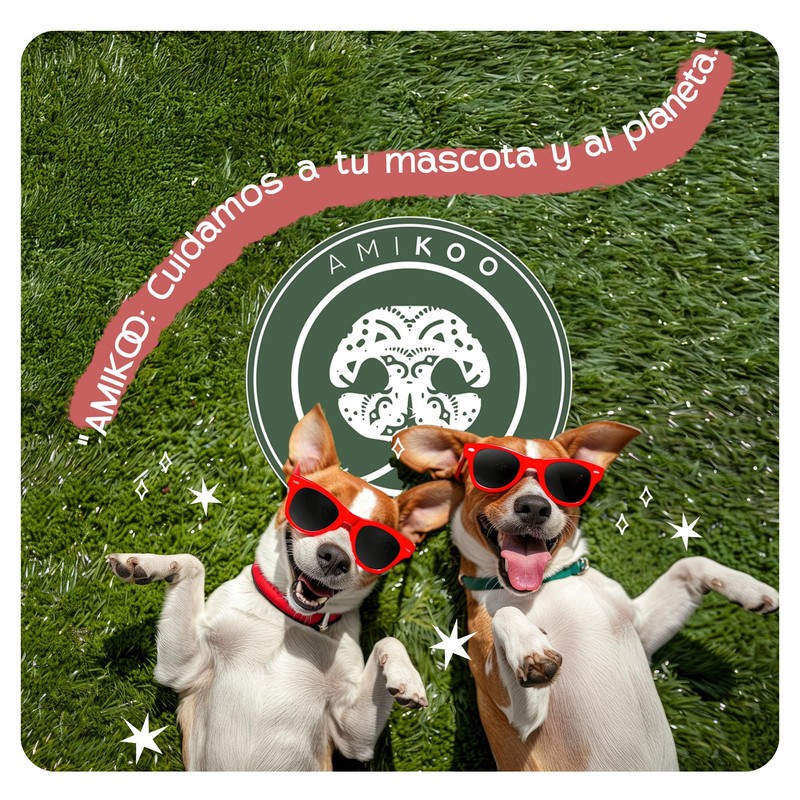 AMIKOO | Collar para Perro | Diseño Artesanal Mexicano |