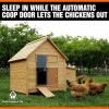 Pet & Livestock HQ Automatic Chicken Coop Door Opener Battery