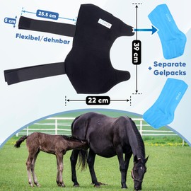 ICEHOF Cooling Gaiters Horse (Firm Hold) - Comfortable Outer Material - 2 Removable Ice Packs and Bandage Washable - Cooling Gaiters Also Protective Function - Cooling Bandage for Horses (Pack of 1)