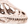 Resin Dinosaur Skull Model Simulated Animal Skeleton Home Office Decor