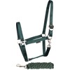 Harry's Horse Initial Bridle Set, Green