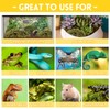 Riare 2.6LB Premium Sphagnum Moss for Reptiles- 100QT Natural Live