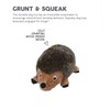 Outward Hound Hedgehogz Plush Dog Toy, Small