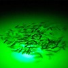 Deep Drop LED Fishing Light Waterproof Underwater Fishing Light Flashing