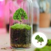 NUOBESTY 2pcs Mini Model Trees Train Scenery Miniature Trees Fake