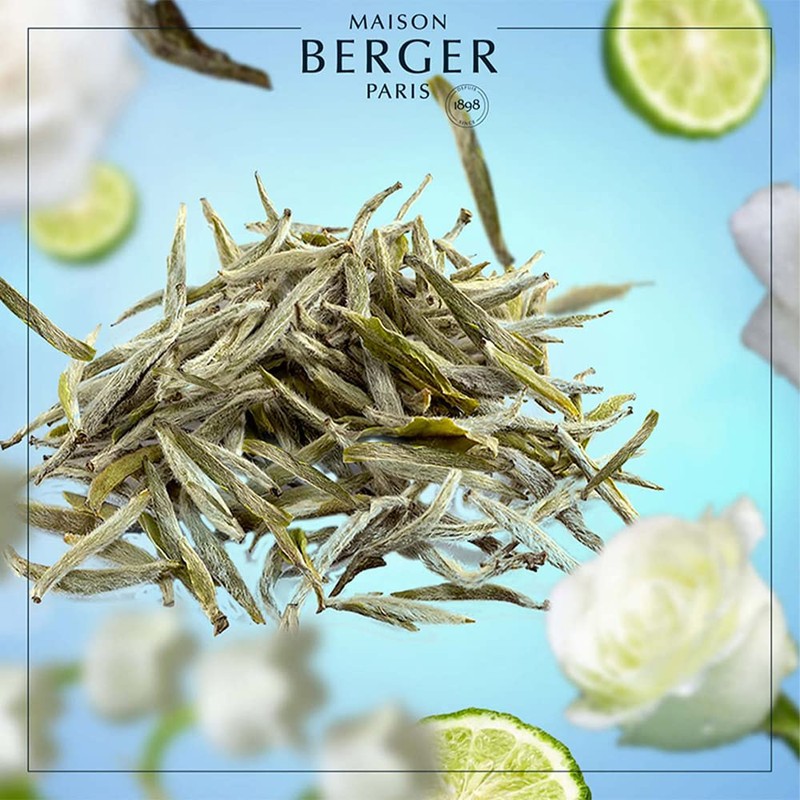 MAISON BERGER Pure White Tea Scented Bouquet Refill 200ml