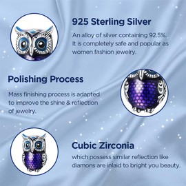 EHEG Purple Owl Charms for Bracelets and Necklaces 925 Sterling Silver with 5A Cubic Zirconia Dangle Pendants Charms Jewelry Birthday Gifts for Mother Girlfriend Daughter Her Women