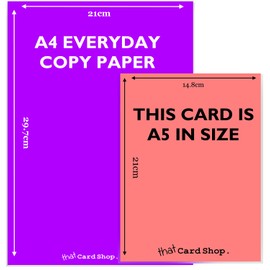 Rude Birthday Card for Him - This card matches your grey hair! Funny Silver Birthday Card for Dad Brother, Son, Her, Friend – Gifts for Women - Quality Grey Cardstock