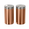 nu steel Jumbo Salt & Pepper Shaker Set of 2,