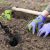 Garden Auger Drill Bit for Planting – 1.6x9 Inch Garden