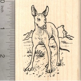 RubberHedgehog Xolo Dog Rubber Stamp, Mexican Hairless, Xoloitzcuintli  K21511 WM