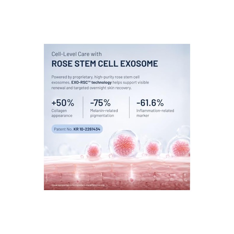 EXO NIGHT CREAM Rose Exosome - Crema reparadora nocturna con