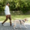 S-ETOVUS Dog Leash Chew Proof, Chain Leash Anti Chew Dog