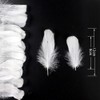Feather Shower Feathers Plenty of 120 Decorative Feathers Wedding Wedding