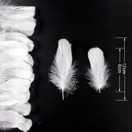 Feather Shower Feathers Plenty of 120 Decorative Feathers Wedding Wedding Birthday Party Craft Materials DIY Decorative Accessories (White)