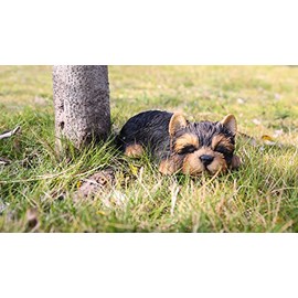 RUNADI Hi- Line Gift 87710-M Yorkshire Terrier Sleeping Pet Pals Statue