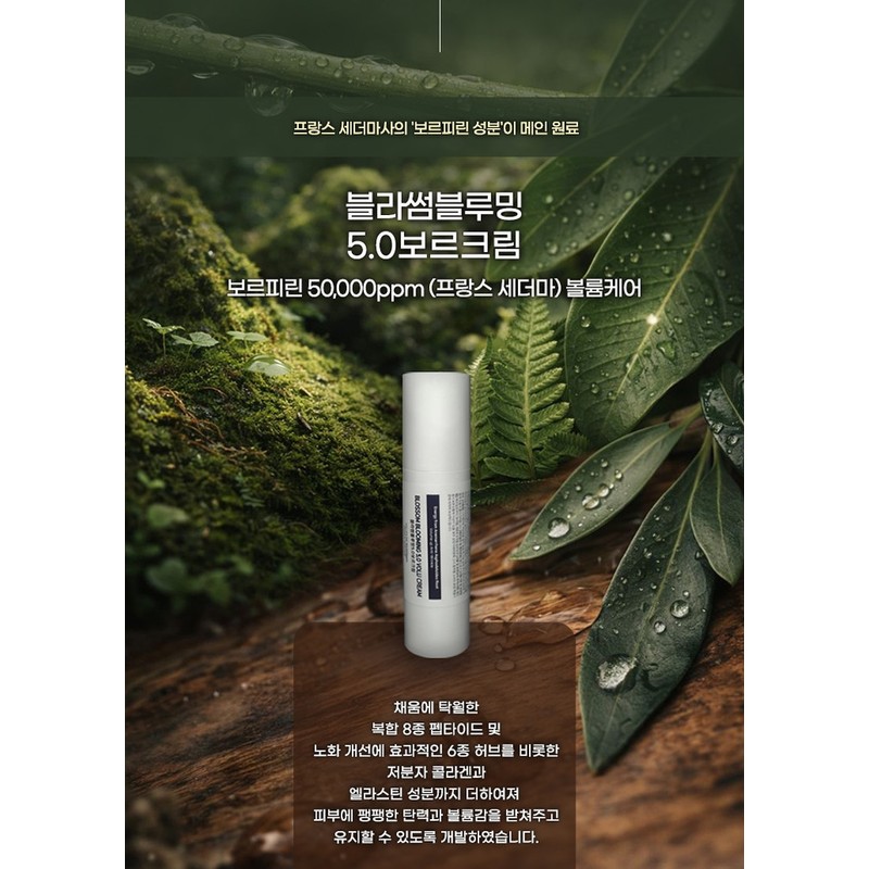 [Blossom Blooming 5.0 Bor Cream] Wrinkle Volume Firming Voluptuous Cream
