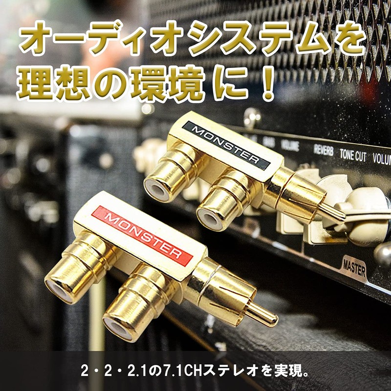 RERACO RCA Splitter 2 Splitter Splitter Adapter Gold Plated Male