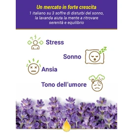 FLORA 100% Pure Lavender Essential Oil - Dietary Supplement - 100ml - Promotes Relaxation (Stress & Sleep), Promotes Normal Mood Tone. Ideal for Aromatherapy