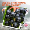 Classic Rectangle Magnet with Stand - Black Chokeberry Fruit Plant