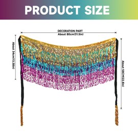 Baisdan Belly Dance Dancer Costume Sequin Tassel Fringe Hip Scarf Belt Waist Wrap Skirt Multicolor