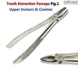 OROAX Fig 1 Upper Centrais & Canines Surgical Dentistry Tooth Extraction Instruments