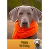 Weimaraner Birthday Card