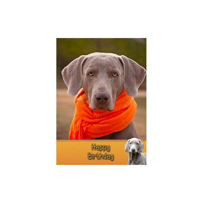 Weimaraner Birthday Card