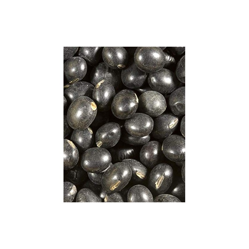 Shiloh Farms - Organic Black Soybeans 2 pack - 15