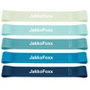 Resistance Loop Exercise Bands Exercise Bands for Home Fitness, Stretching,