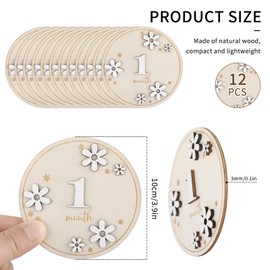 12Pcs hölzerne Baby-Meilenstein-Karten 1-12 Monate Baby-Monats-Zeichen 3D Gänseblümchen doppelseitige Baby-Wachstum monatliche Holzscheiben 10cm runde Monat Baby-Geschenk-Set für DIY Graffiti Party