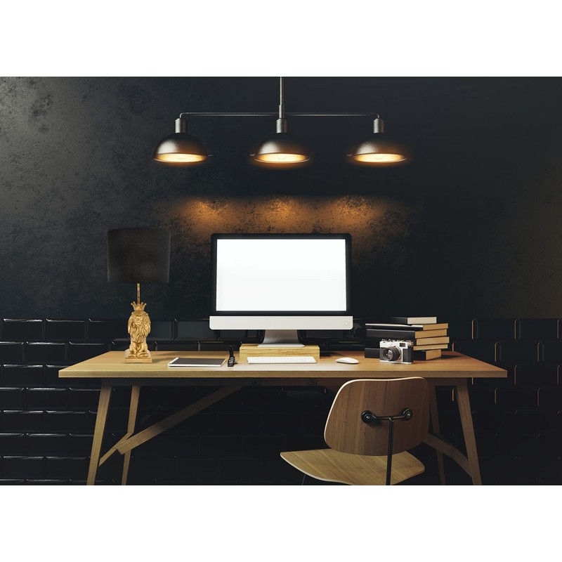 Creative Co-Op Lion Shaped Table Lamp with Black Shade