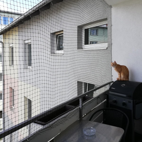 JUMXSRLE Cat Netting Balcony, Wire-Reinforced Cat Net, Bite and Tear-Resistant,