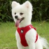 Truelove True Love Dog Harness,Soft Air Mesh Adjustable Reflective Pet