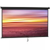 SEGAWE Projection Screen 100 Inch 16:9 Pull Down Projector Screen