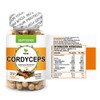 Cordyceps 100 cápsulas, Adaptogeno calidad Premium