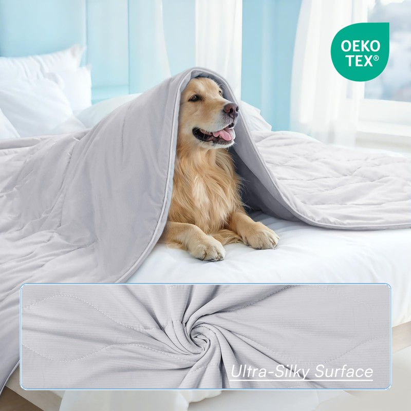 luciphia Cooling Blanket for Dogs Q-MAX > 0.5 Premium Summer