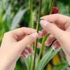 50Pcs Plant Stake Clip Set Green, Plant Sticks Supplies Support